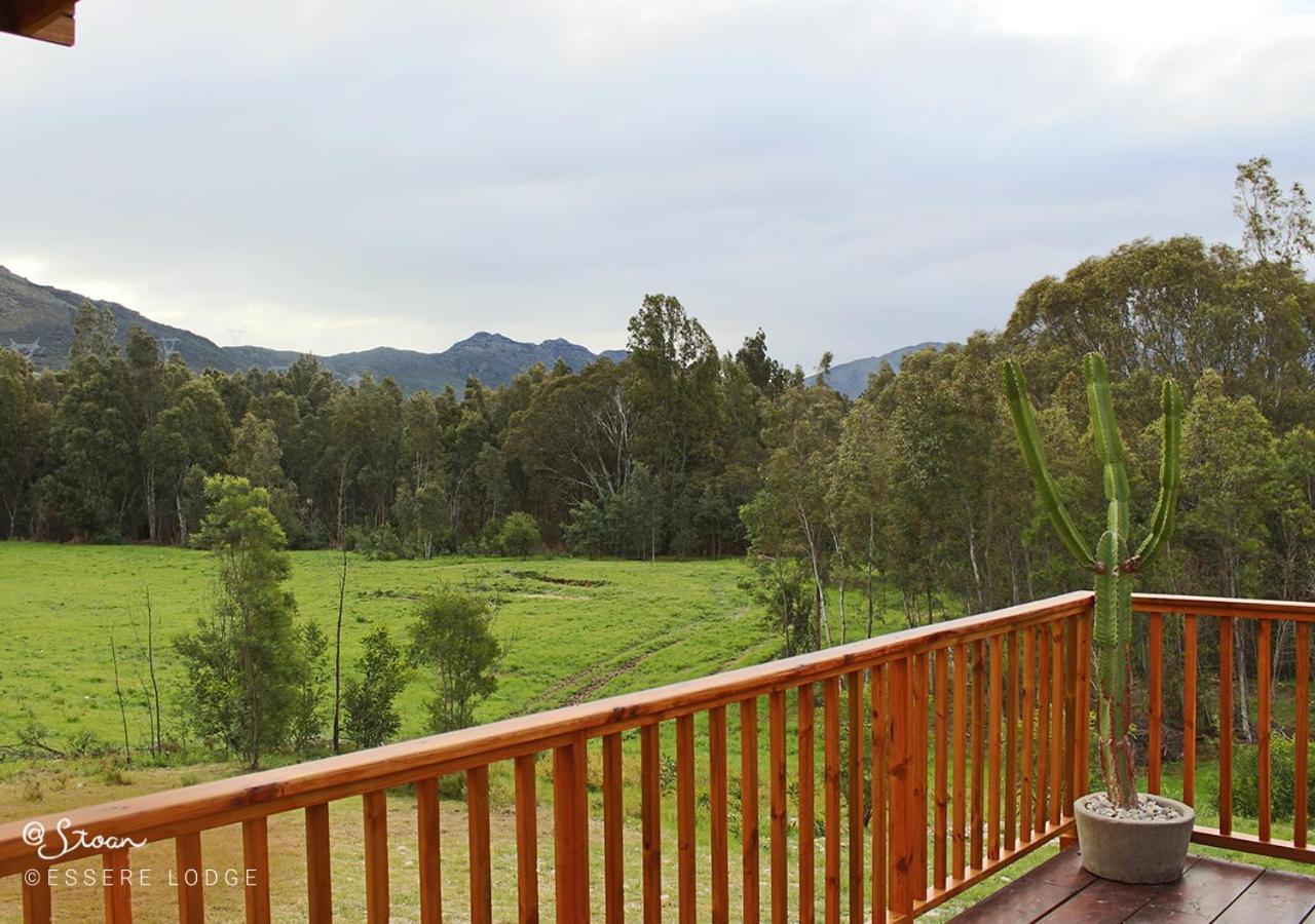Le Reve Boutique Hotel Tulbagh Dış mekan fotoğraf