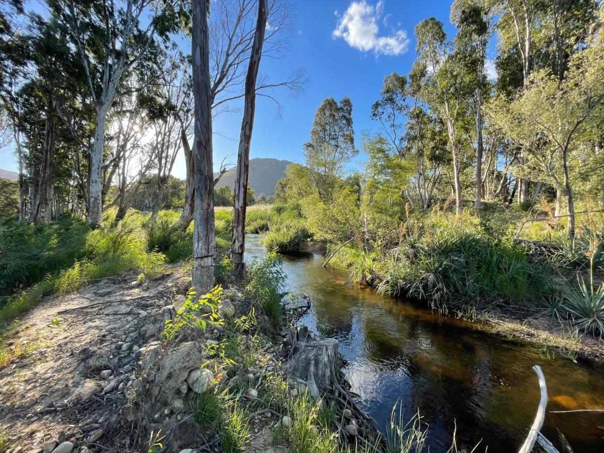 Le Reve Boutique Hotel Tulbagh Dış mekan fotoğraf