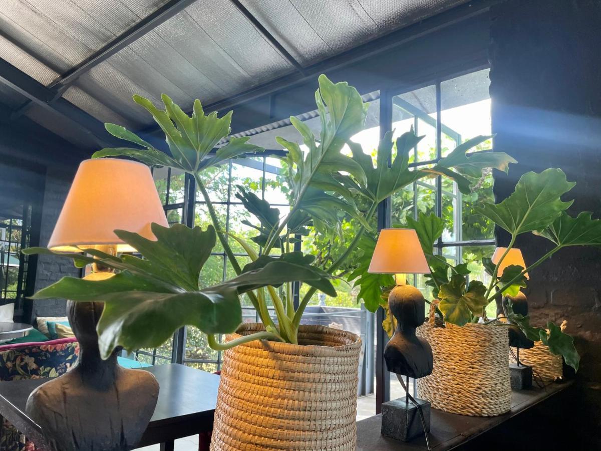 Le Reve Boutique Hotel Tulbagh Dış mekan fotoğraf