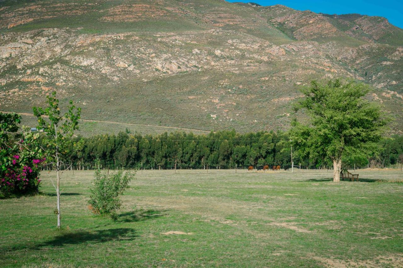 Le Reve Boutique Hotel Tulbagh Dış mekan fotoğraf