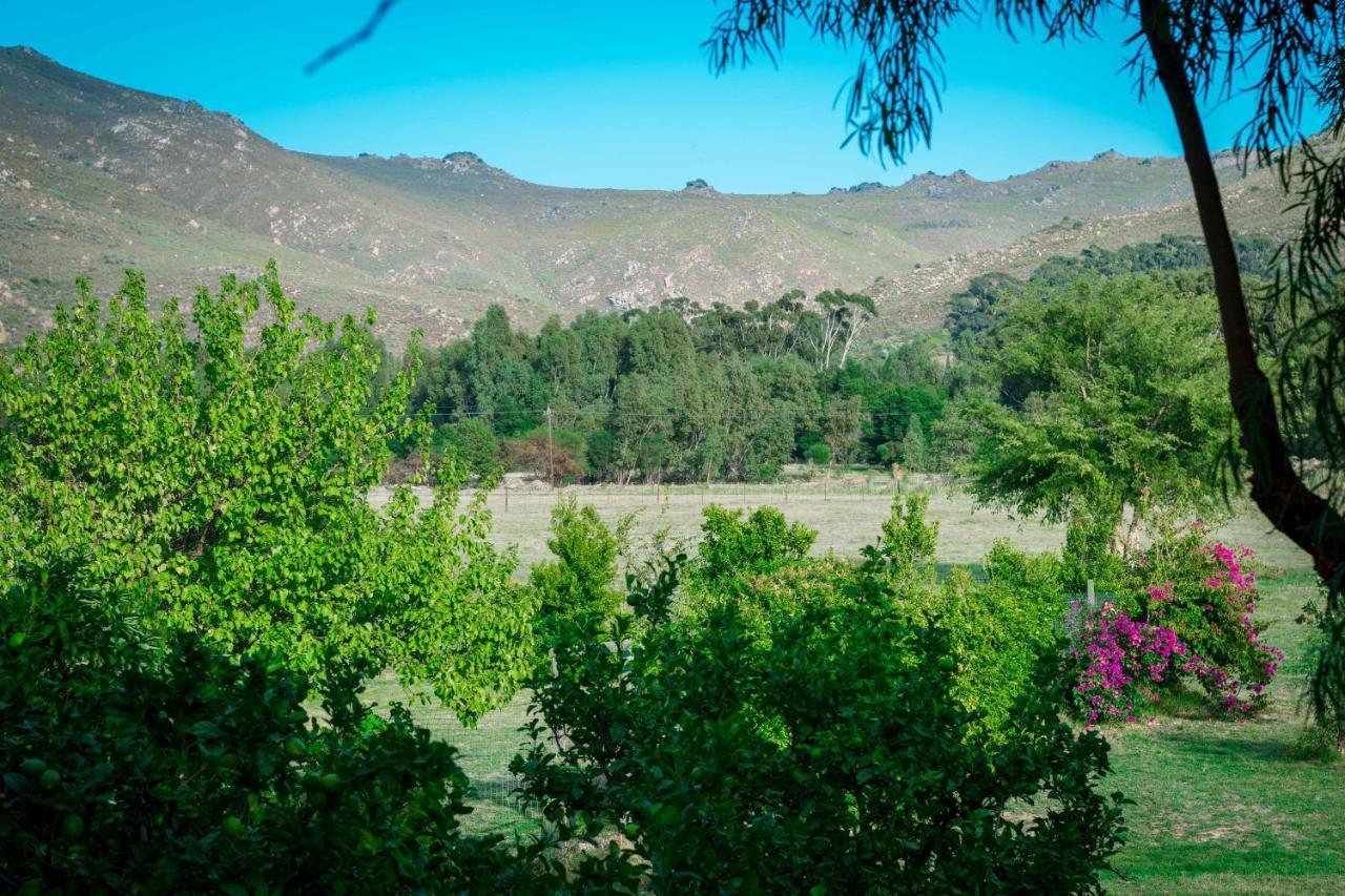 Le Reve Boutique Hotel Tulbagh Dış mekan fotoğraf