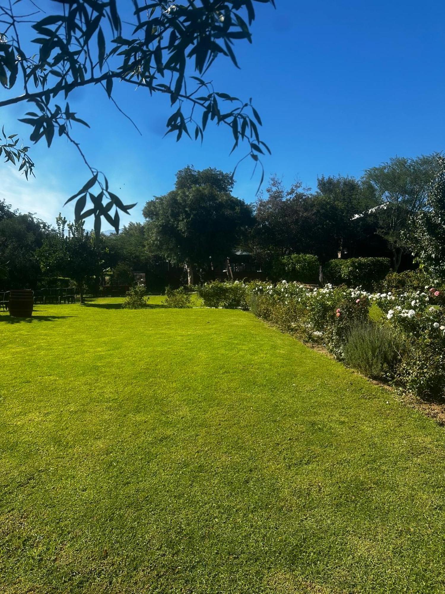 Le Reve Boutique Hotel Tulbagh Dış mekan fotoğraf